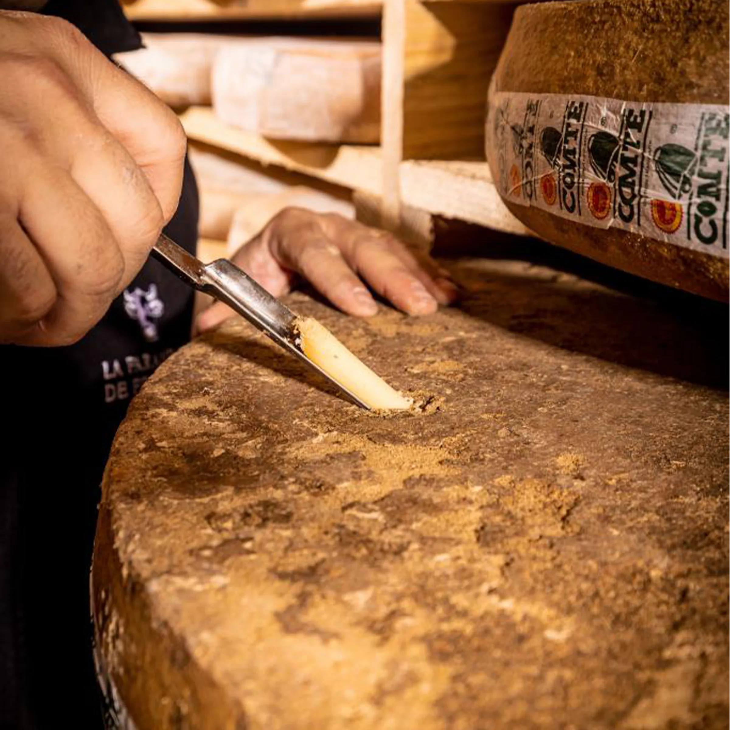 Freddy prélève un morceau de comté à la sonde, dans sa cave d'affinage